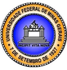 Cursos UFMG - Universidade Federal De Minas Gerais