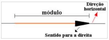 Dica de Física diferença entre grandezas escalares e vetoriais