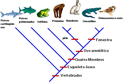 cladistica